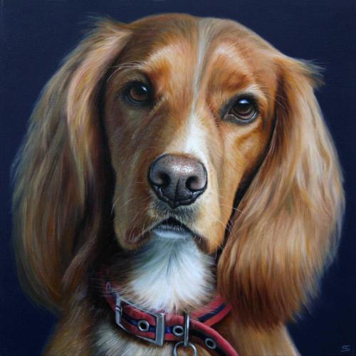Bertie